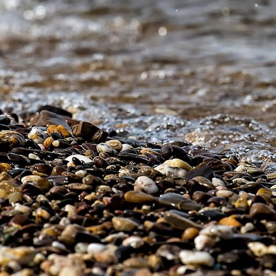 Geologische Strandwanderung