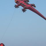 Drachenfest_2010_066