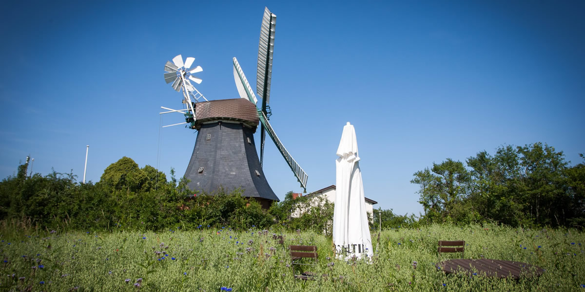 Windmühle in Krokau